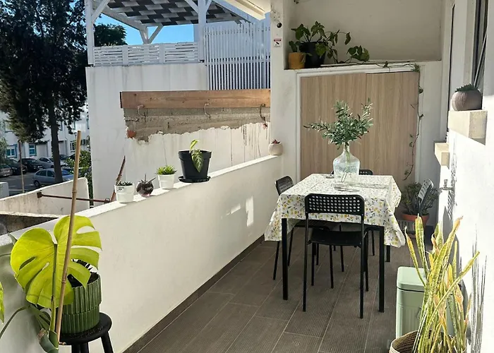 Casa Oliveiras Guest house